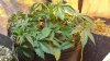 20131110_144451.jpg 20131110_144451.jpg