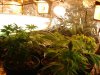 the crib 131.jpg