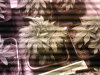 SP_A0172.jpg