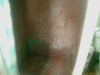 IMAG0125.jpg