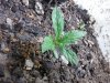 20131108_133807.jpg