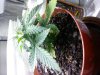 20131108_134132.jpg