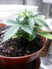 20131108_134132.jpg 20131108_134132.jpg