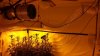 20131111_224651.jpg