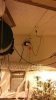 20131111_224817.jpg