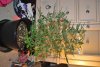 DSC_0166.jpg DSC_0166.jpg