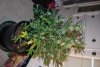 DSC_0177.jpg DSC_0177.jpg