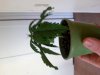 20131114_102537.jpg 20131114_102537.jpg