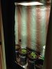 full_room_tall.jpg