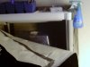 seedling tent6.jpg