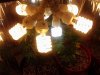 IMG_20131117_010607.jpg