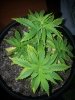 20131118_182837.jpg