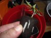DSCF4739.jpg