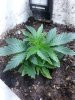 20131119_003352.jpg