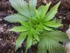 20131119_003528.jpg