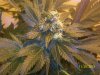 100_3404.jpg