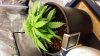 20131022_111321.jpg
