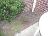 grow 847.jpg grow 847.jpg