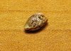 DSCF5163.JPG