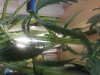 20131121_164411.jpg 20131121_164411.jpg