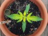 20131120_130327.jpg 20131120_130327.jpg