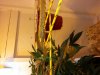 20131121_222548.jpg