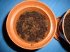 DSC00511.jpg