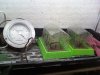 slikwill13-albums-my-setup-picture20704-my-mcclone-domes-themometer.jpg