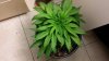 20131122_084917.jpg