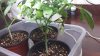 20131120_024519.jpg 20131120_024519.jpg