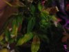 IMG_1168.jpg IMG_1168.jpg