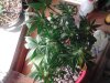 IMG_20131124_032345.jpg