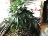 IMG_20131124_033955.jpg