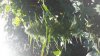 20131002_092630.jpg