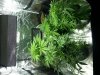 20131105_105425.jpg 20131105_105425.jpg