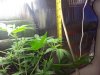 20131126_203928.jpg