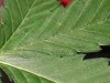 20131126_203551.jpg