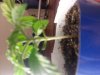 20131127_184710.jpg