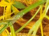 20131128_011602.jpg
