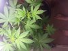 20131125_204036.jpg