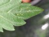 20131125_204135.jpg
