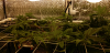 03c02-e81480a1-8fe9-4bf7-b79d-9792f4d7161b.png