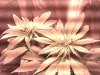 Snapshot_20131202_7.jpg