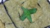 20131202_205758.jpg 20131202_205758.jpg