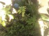 IMG_20131203_103058.jpg