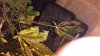 20131204_230649.jpg