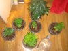 DSC04009.jpg