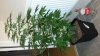 20131205_015521.jpg