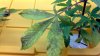 2013-12-04_18-46-21_542.jpg