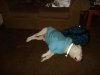 Breanna 10th bday....Visit with Cheryl....Cecily's J.H. Graduati 281.jpg